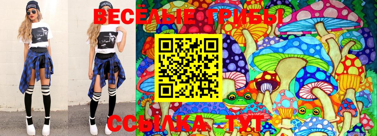 Курчатов  Галлюциногенные грибы ЛСД  Псилоцибиновые грибы MAGIC MUSHROOMS  Вход с VPN 